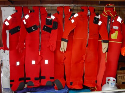 Immersion suits